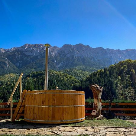 Panorama Pietrei Craiului Hotel Zărneşti Buitenkant foto