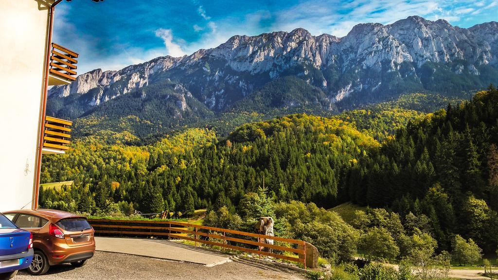 Panorama Pietrei Craiului Hotel Zărneşti Buitenkant foto